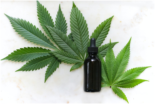 CBD and pain- types of CBD products