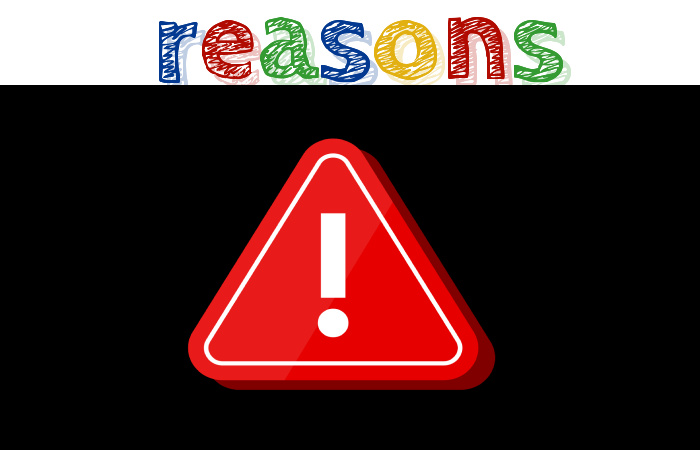 Reasons for this Error [pii_email_19701529f536b325f5fd]