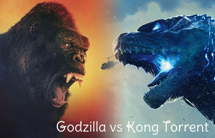 More About the Godzilla vs Kong Torrent Movie