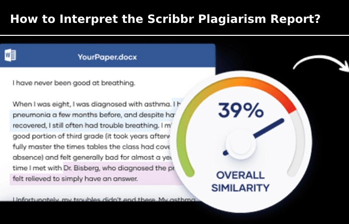 How to Interpret the Scribbr Plagiarism Report?