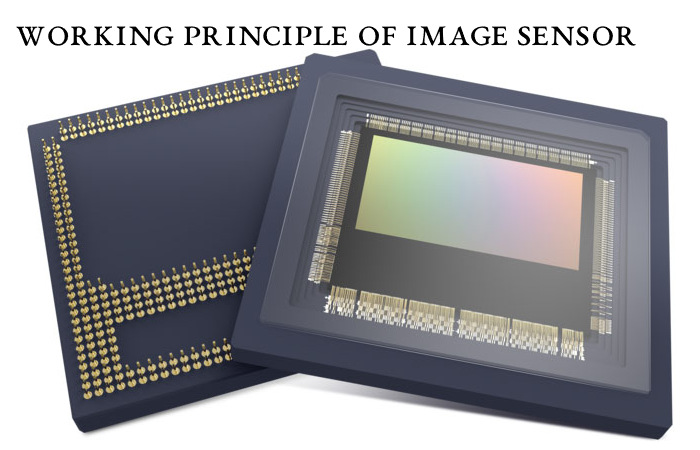 Working Principle of Image Sensor