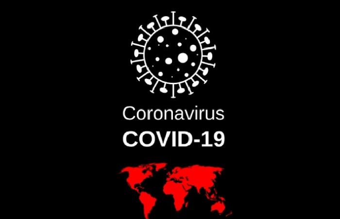 Cause of COVID Outbreak