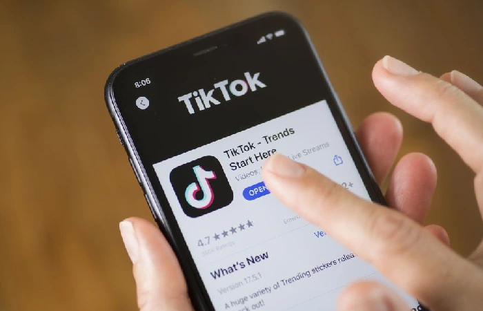 TikTok Video Downloader With Watermark and Without Watermark