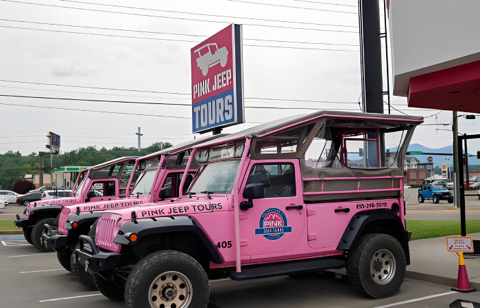 Pink Jeep Tours 